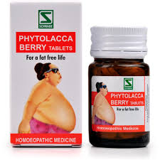Dr Willmar Schwabe India Phytolacca Berry Tablet
