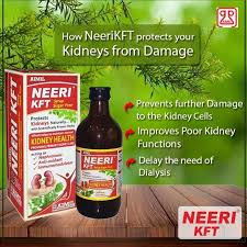 Neeri Kft Sugar Free Syrup