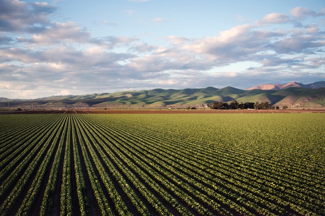 Agricultural Farm in Sydney East